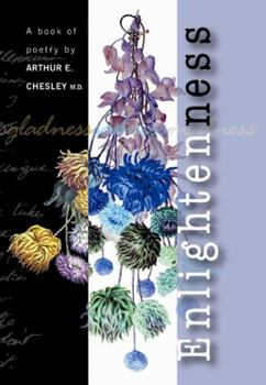 Paperback Enlighteness Book