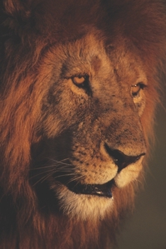 Paperback The Warrior Within: Freedom Fighter Book