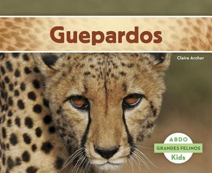 Guepardos - Book  of the Grandes Felinos
