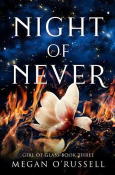 Paperback Night of Never Book