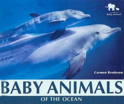 Library Binding Baby Animals of the Ocean Book