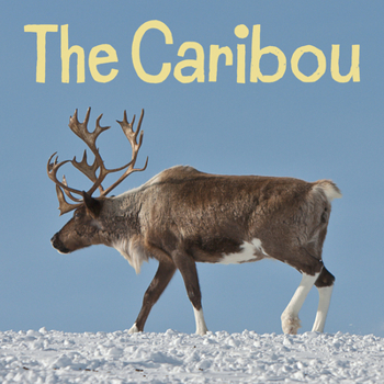 Paperback The Caribou: English Edition Book