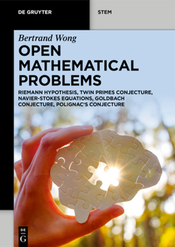 Paperback Open Mathematical Problems: Riemann Hypothesis, Twin Primes Conjecture, Navier-Stokes Equations, Goldbach Conjecture, Polignac's Conjecture Book