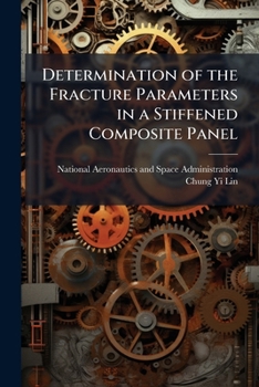 Paperback Determination of the Fracture Parameters in a Stiffened Composite Panel Book