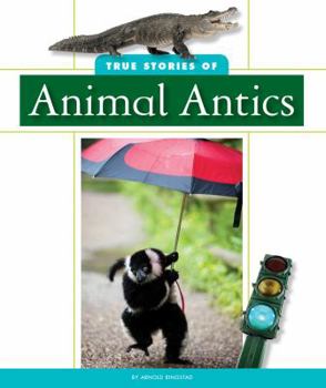 Library Binding True Stories of Animal Antics Book
