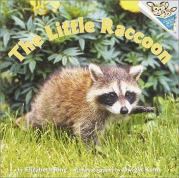 Paperback The Little Raccoon Book