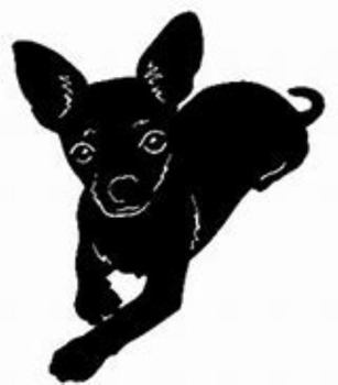 Paperback Bambee...the Tale of a Little Lap Dog Book