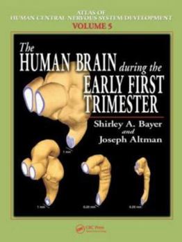 Hardcover The Human Brain During the Early First Trimester Book