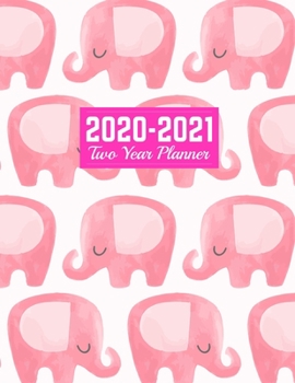 Paperback 2020-2021 Two Year Planner: Neat Calendar Year Vision Planner (January 2020 - December 2021) - Monthly and Weekly Schedule Organizer and Journal - Book