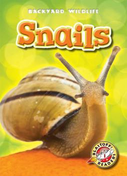 Snails - Book  of the Backyard Wildlife