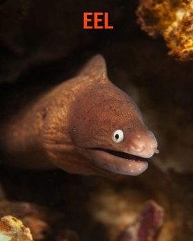 Paperback Eel: Amazing Photos & Fun Facts Book About Eel For Kids Book