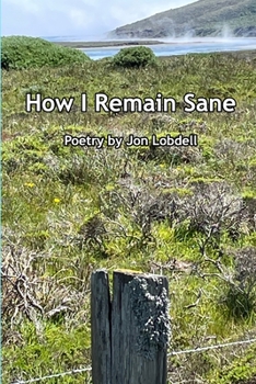 Paperback How I Remain Sane Book