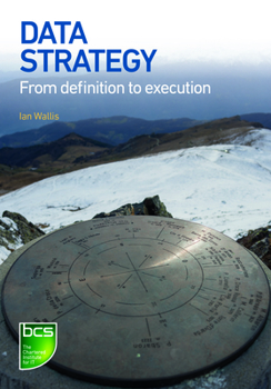 Paperback Data Strategy: From definition to execution Book