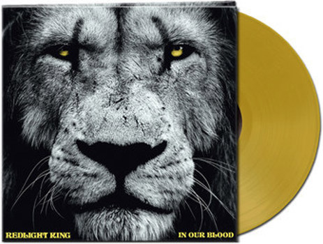 Vinyl In Our Blood   Gold Book
