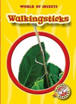 Walkingsticks (Blastoff! Readers) (World of Insects) (World of Insects ; Blastoff Readers Level 2) - Book  of the World of Insects