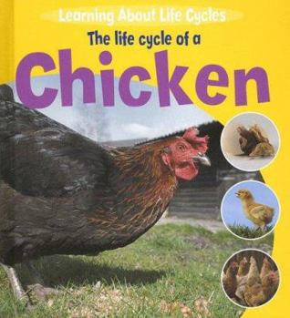 Library Binding The Life Cycle of a Chicken Book