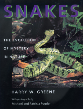 Paperback Snakes: The Evolution of Mystery in Nature Book