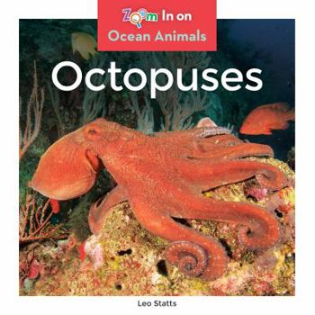 Octopuses - Book  of the Ocean Animals