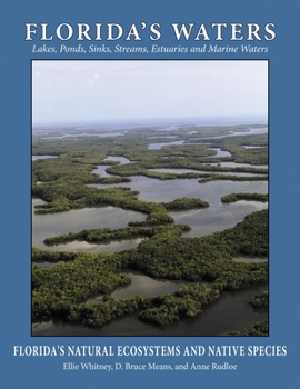 Paperback Florida's Waters Book