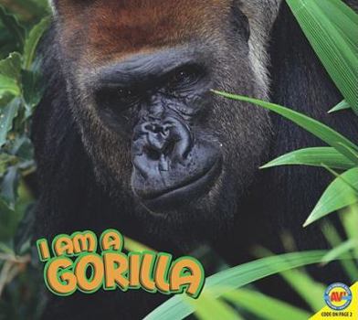 I Am a Gorilla - Book  of the I Am