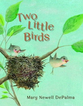 Hardcover Two Little Birds Book
