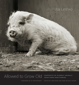 Hardcover Allowed to Grow Old: Portraits of Elderly Animals from Farm Sanctuaries Book