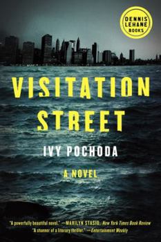 Paperback Visitation Street Book