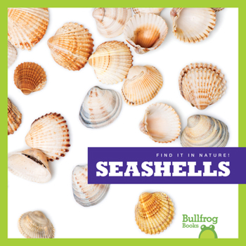 Paperback Seashells Book