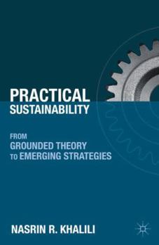 Hardcover Practical Sustainability: From Grounded Theory to Emerging Strategies Book