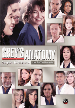 DVD Grey's Anatomy: Complete Tenth Season Book