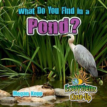 Paperback What Do You Find in a Pond? Book