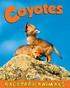 Library Binding Coyotes Book