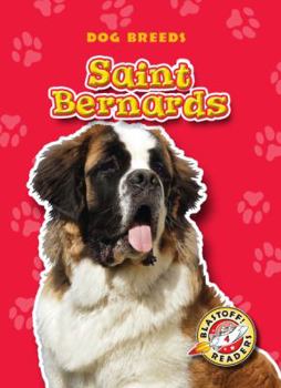 Paperback Saint Bernards Book