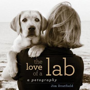 Hardcover The Love of a Lab Book