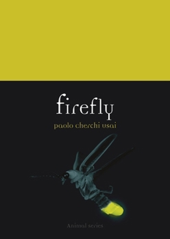 Firefly (Animal)