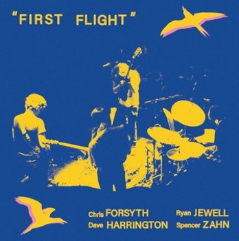 Vinyl First Flight (Solar Live Vol. 5) Book
