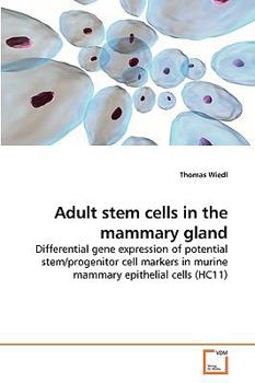 Paperback Adult stem cells in the mammary gland Book