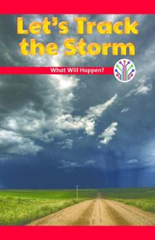 Let's Track the Storm: What Will Happen?
