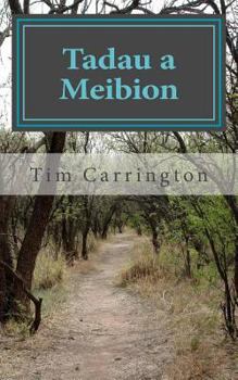 Paperback Tadau a Meibion: (Fathers and Sons) Book