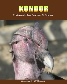Paperback Kondor: Erstaunliche Fakten & Bilder [German] Book