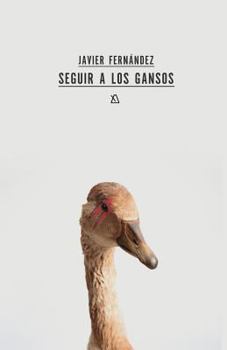 Paperback Seguir a los gansos [Spanish] Book