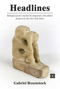 Paperback Headlines: Bilingual poems inspired by fragments of headlines featured in The New York Times [Irish] Book