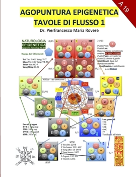 Agopuntura Epigenetica 1: Tavole di Flusso (Accademia di eccellenza AA) (Italian Edition)
