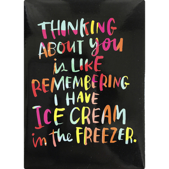 Hardcover Em & Friends Ice Cream Freezer Magnet (Em & Friends Magnets) Book