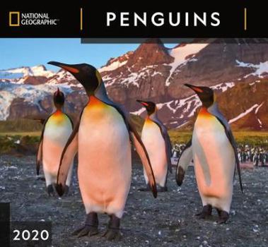 Calendar Cal 2020-National Geographic Penguins Wall Book