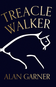 Hardcover Treacle Walker Book