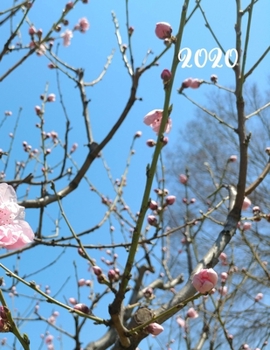 2020: Weekly Monthly Yearly Planner, 12 Month Notebook Journal Dated Agenda Appointment Calendar Organizer Book To Do, Cherry Blossom Branch and Blue Sky