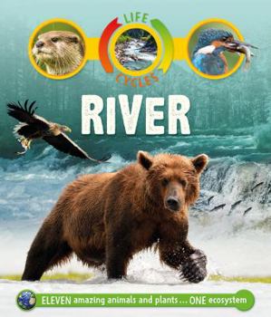 Hardcover Life Cycles: River Book