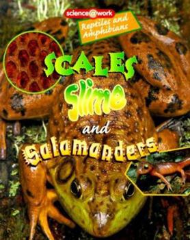 Hardcover Reptiles and Amphibians: Scales, Slime, and Salamanders Book