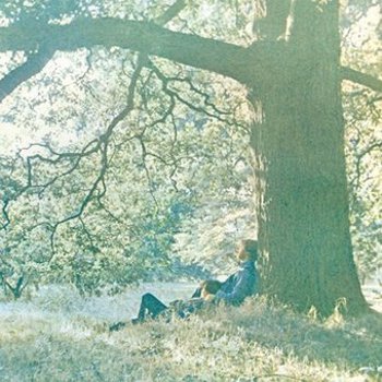 Vinyl Plastic Ono Band Book